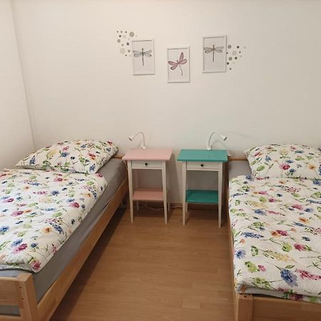 Grosse Ferienwohnung Am Waldrand Schonau  Buitenkant foto