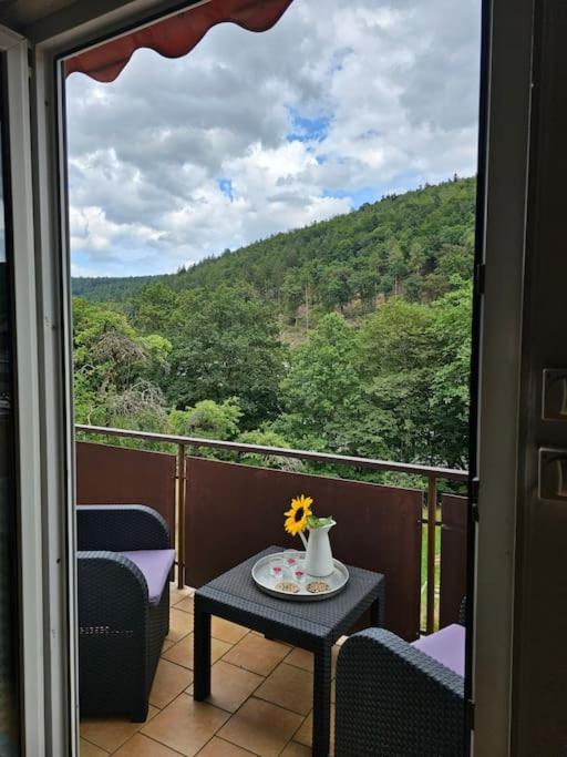 Grosse Ferienwohnung Am Waldrand Schonau  Buitenkant foto