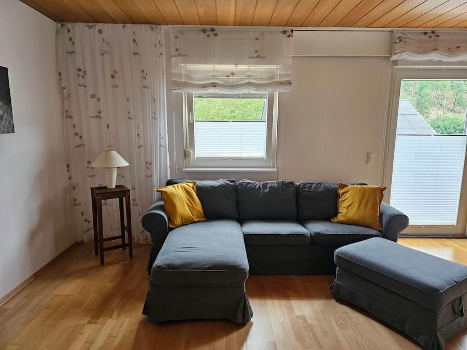 Grosse Ferienwohnung Am Waldrand Schonau  Buitenkant foto