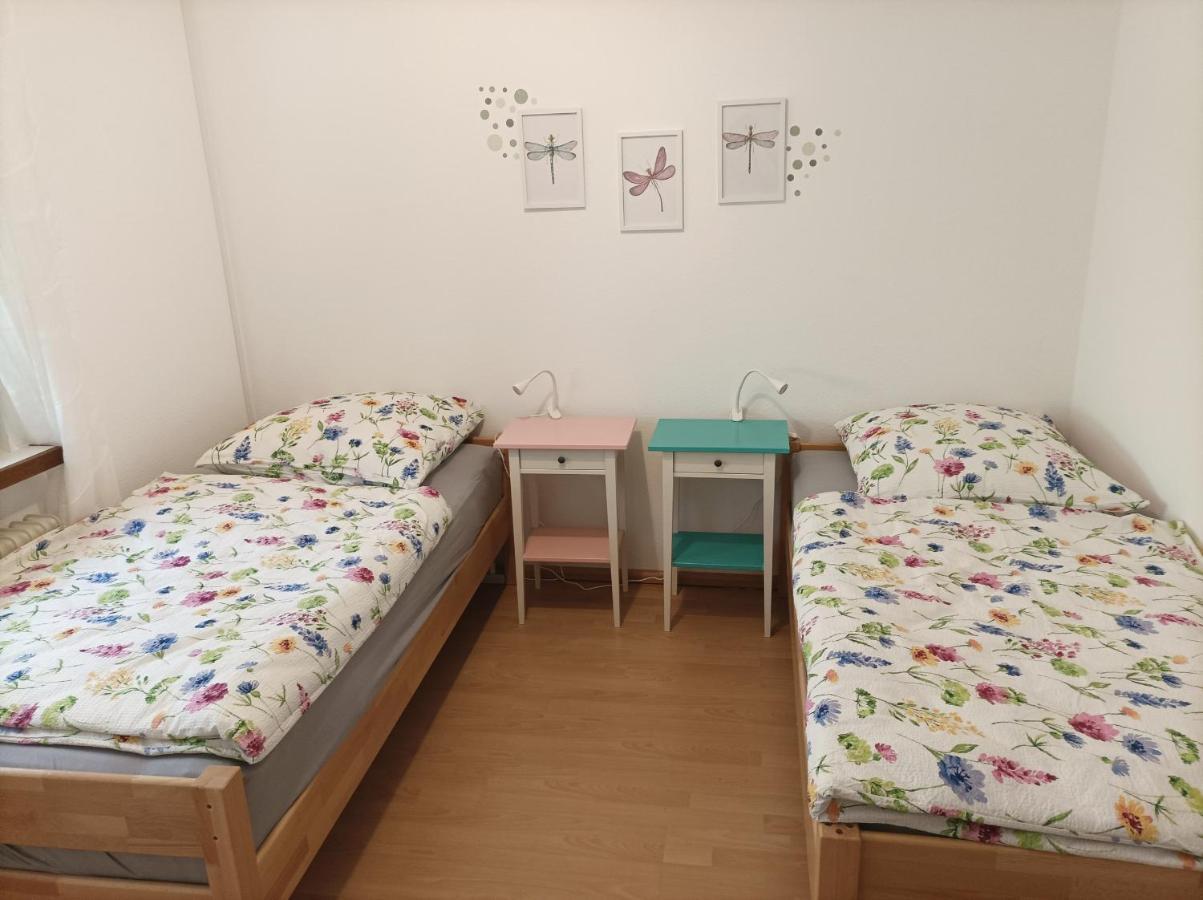 Grosse Ferienwohnung Am Waldrand Schonau  Buitenkant foto